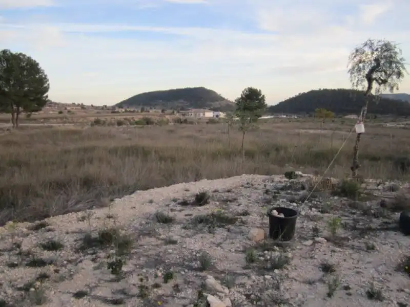 Casa o xalet en venda en La Romana