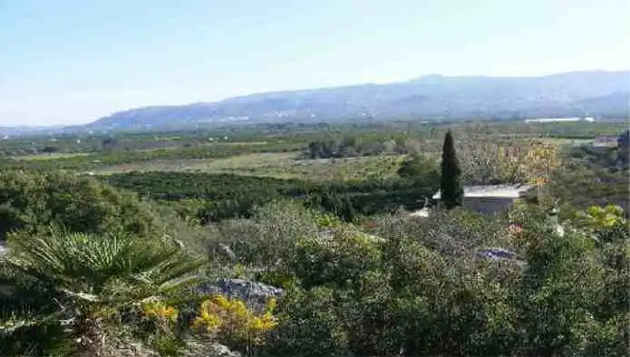 Terreno rústico en venta en Pd Barranco de la Palla, imagen 6