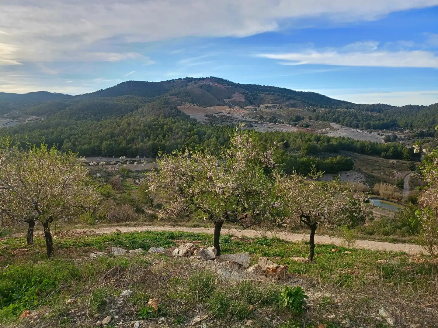 Maison rustique à vendre à Pedanías Centro, imagen 31
