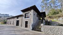 Vista exterior de Finca rústica en venda en Llanes amb Jardí privat