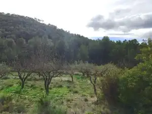 Terreno rustico in vendita a Carrer la Torreta, imagen 9