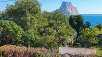 Vista exterior de Casa o xalet en venda en Calpe / Calp amb Aire condicionat, Calefacció i Jardí privat