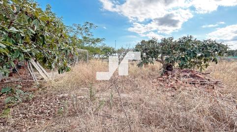 Foto 2 von Grundstücke zum Verkauf in Iturbi, Les Alqueries / Alquerías del Niño Perdido, Castellón