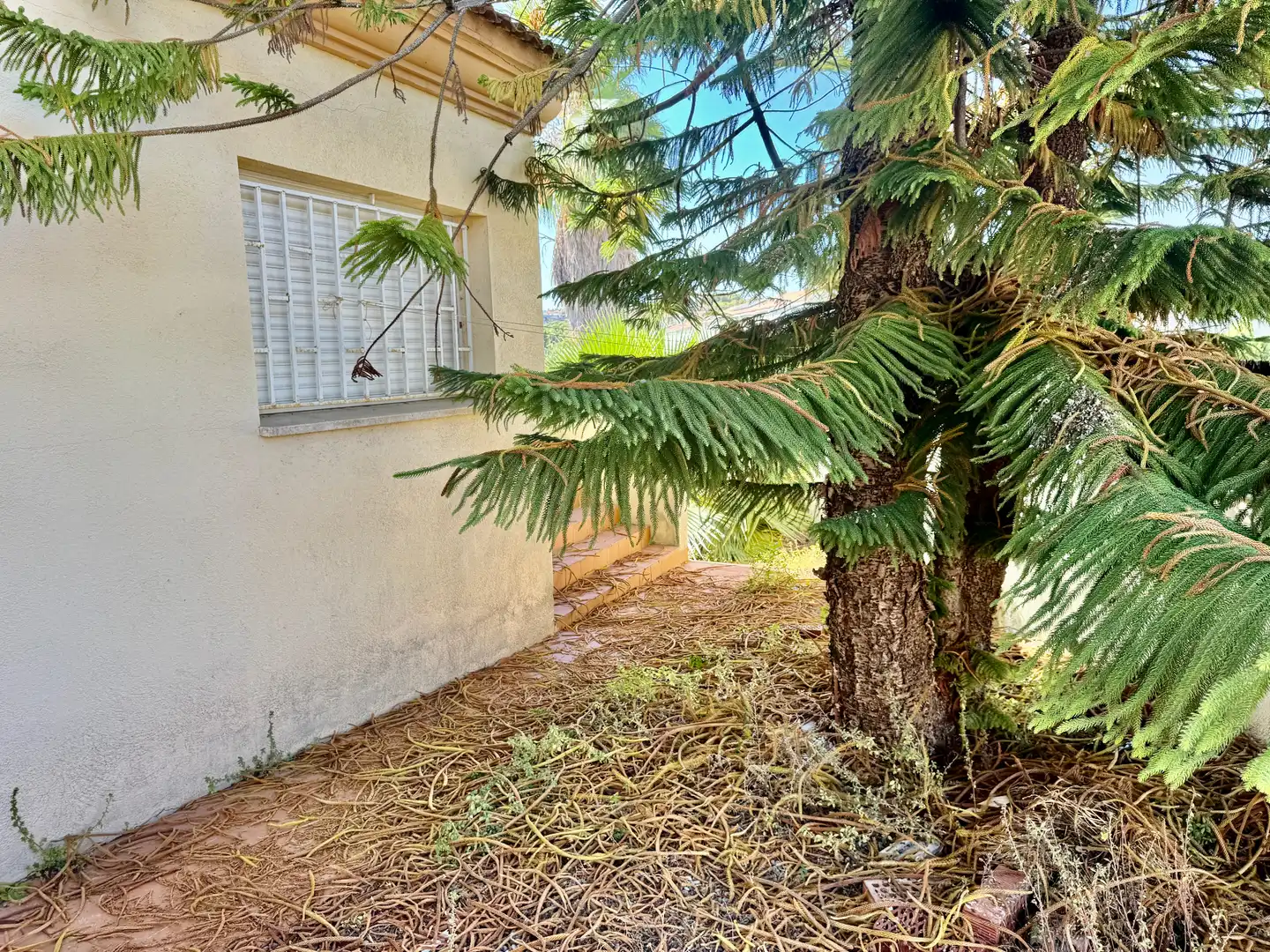 Jardí de Casa o xalet en venda en El Vendrell amb Jardí privat, Terrassa i Piscina