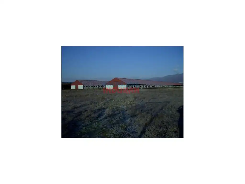 Vista exterior de Casa o chalet en venta en Pueblonuevo de Miramontes