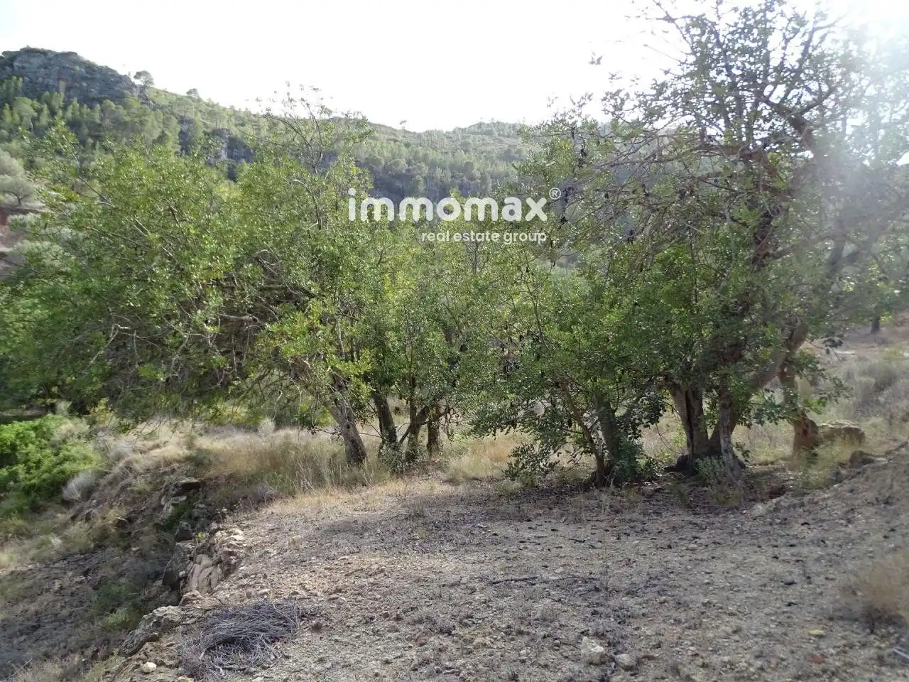 Villa à vendre à Paüls, imagen 8
