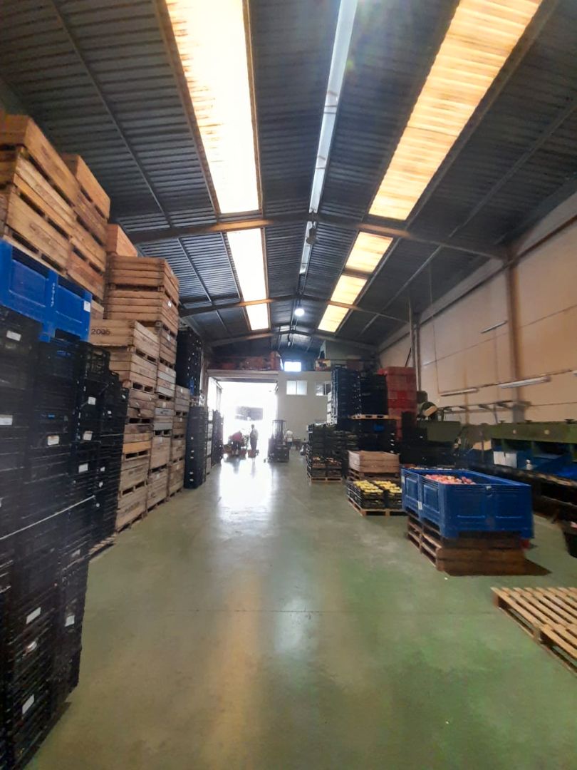 Nau industrial en venda en Rafelbuñol / Rafelbunyol