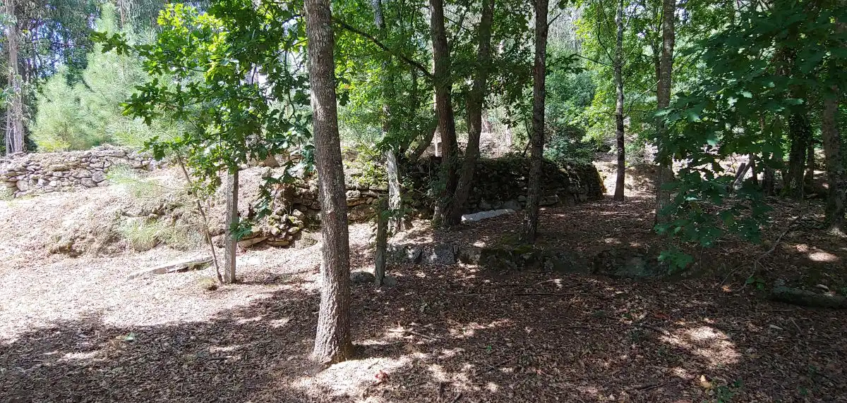 Casa o xalet en venda en Salceda de Caselas