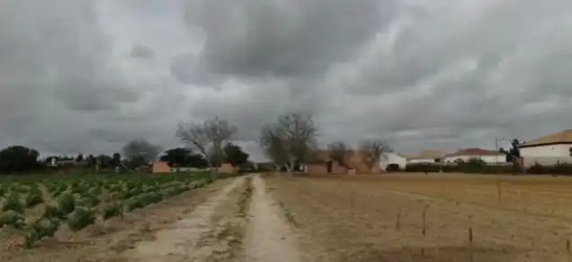Nave industrielle à vendre à Pelagatos - Pago del Humo, imagen 16