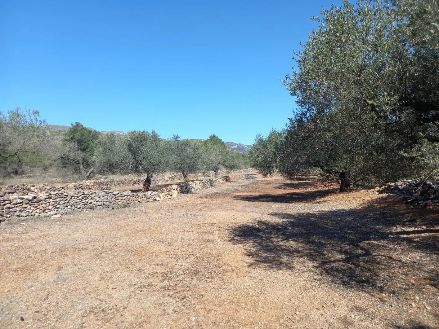Terrain rustique à vendre à Rasquera, imagen 6