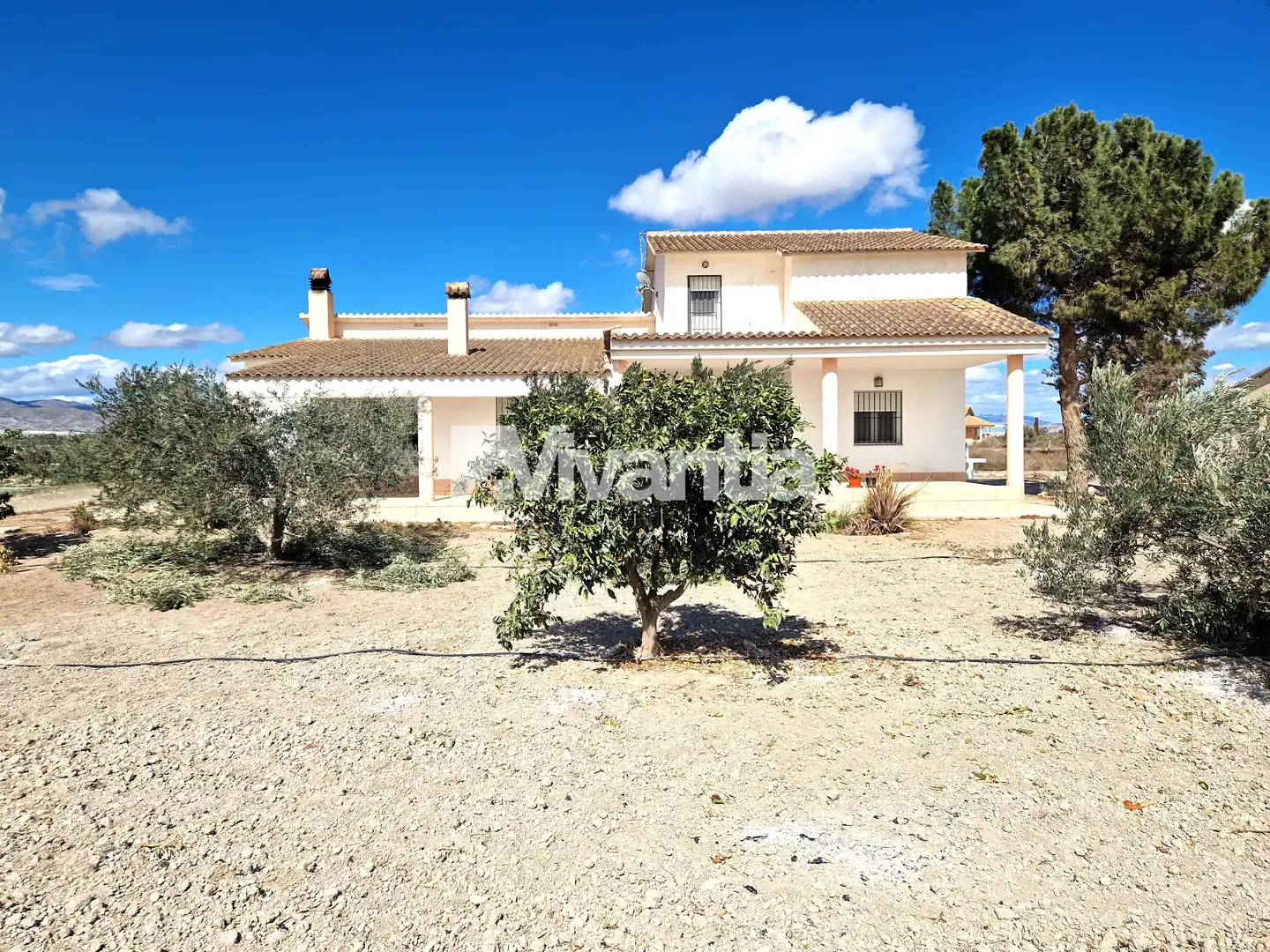 Xalet amb jardí en venda a Pedanías Centro