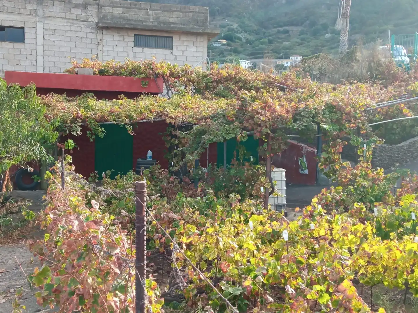 Terreno rustico in vendita a Las Cuevas - Los Gómez, imagen 46