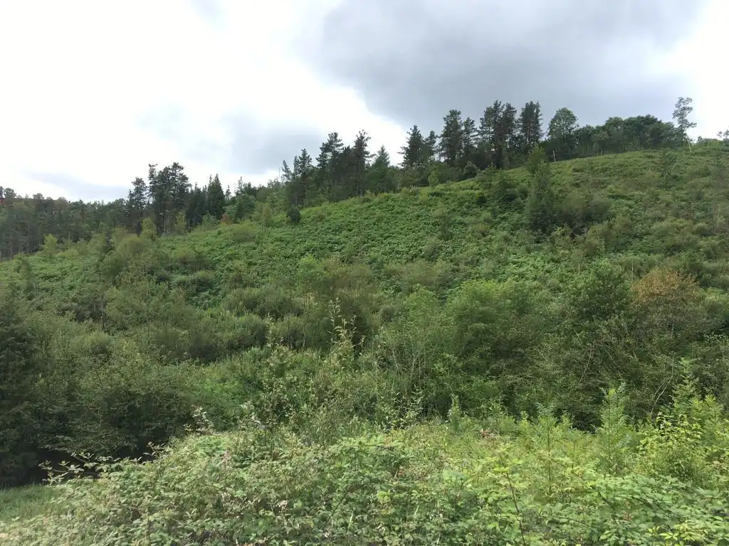 Finca rústica en venda en Mallabia