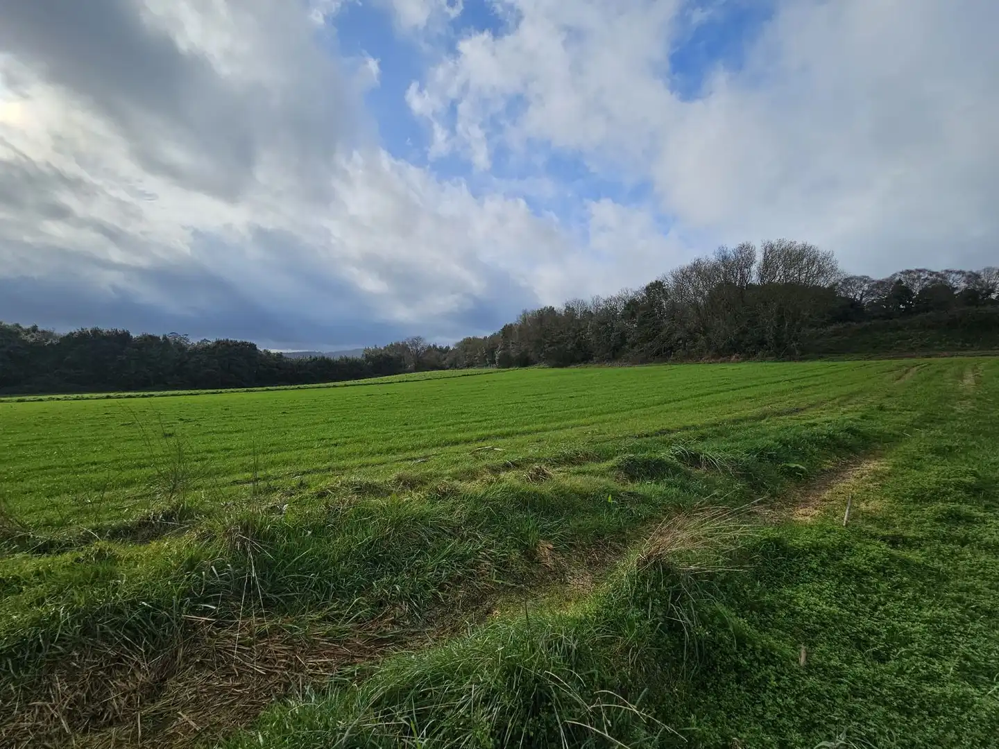 Finca rústica en venta en Abegondo