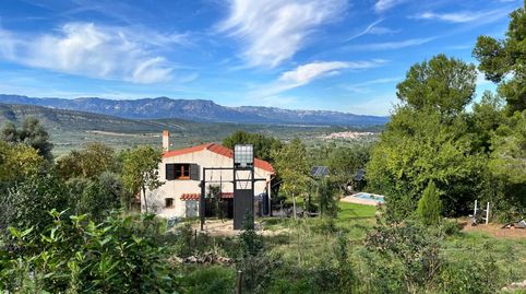 Foto 5 de Finca rústica en venta en Freginals, Tarragona