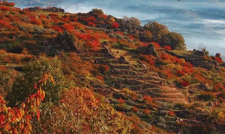 Vista exterior de Casa o xalet en venda en Navaconcejo amb Aire condicionat, Calefacció i Forn