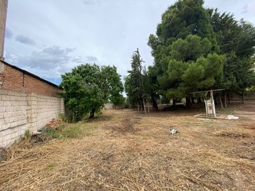 Terrains et parcelles à vendre à Hellín