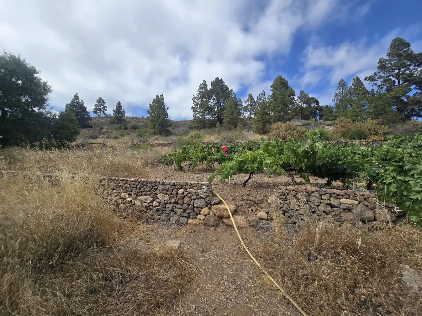 Terreno en venta en Cruz de Tea