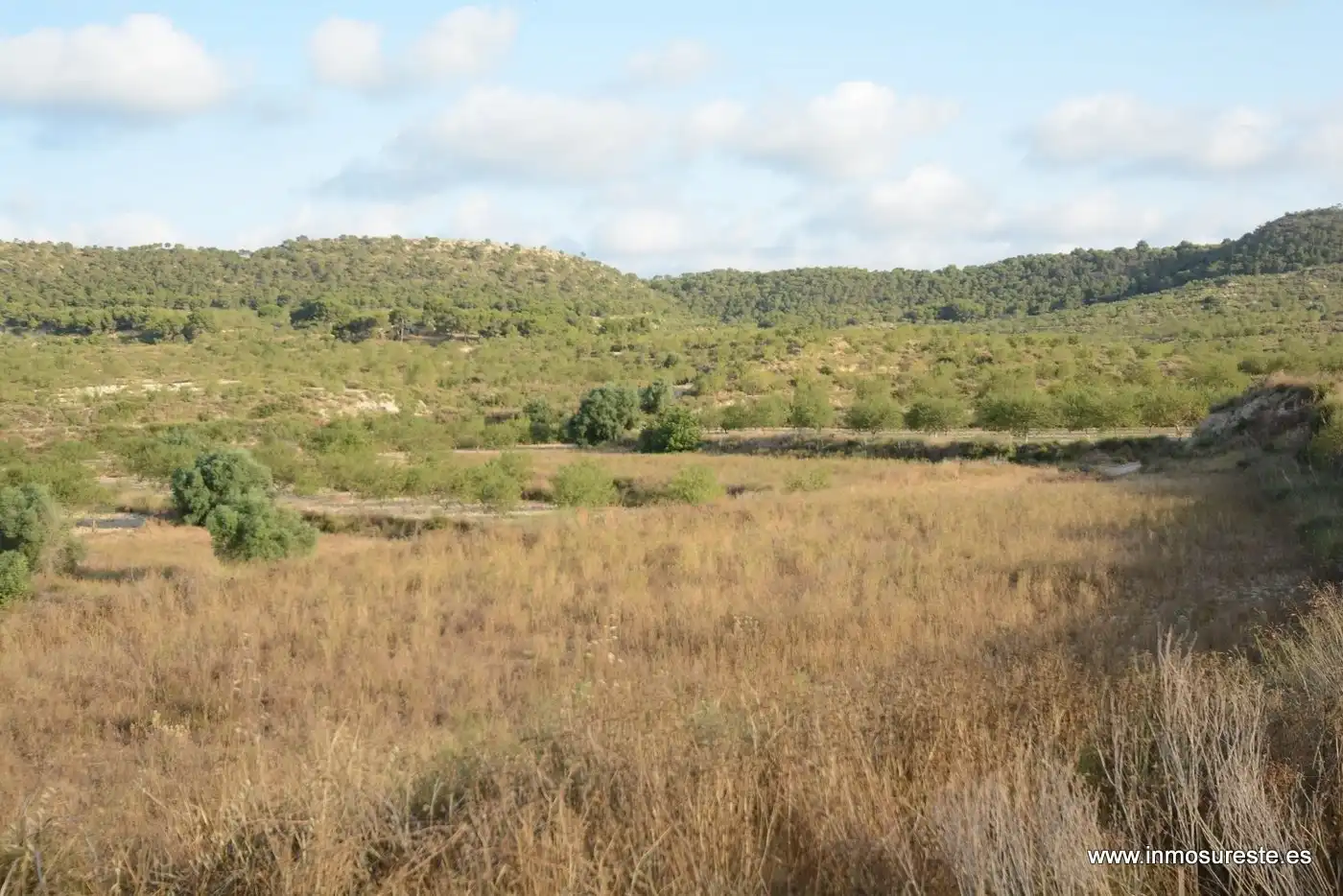 Terreno rústico en venta en Desamparados - Hurchillo - Torremendo, imagen 2