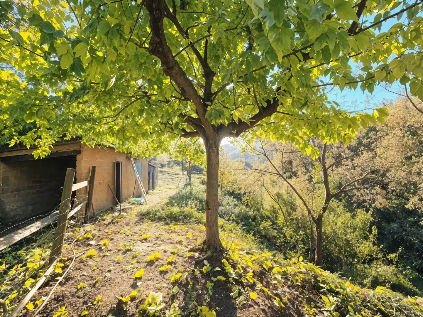 Jardí de Casa o xalet en venda en La Selva del Camp amb Jardí privat, Terrassa i Traster