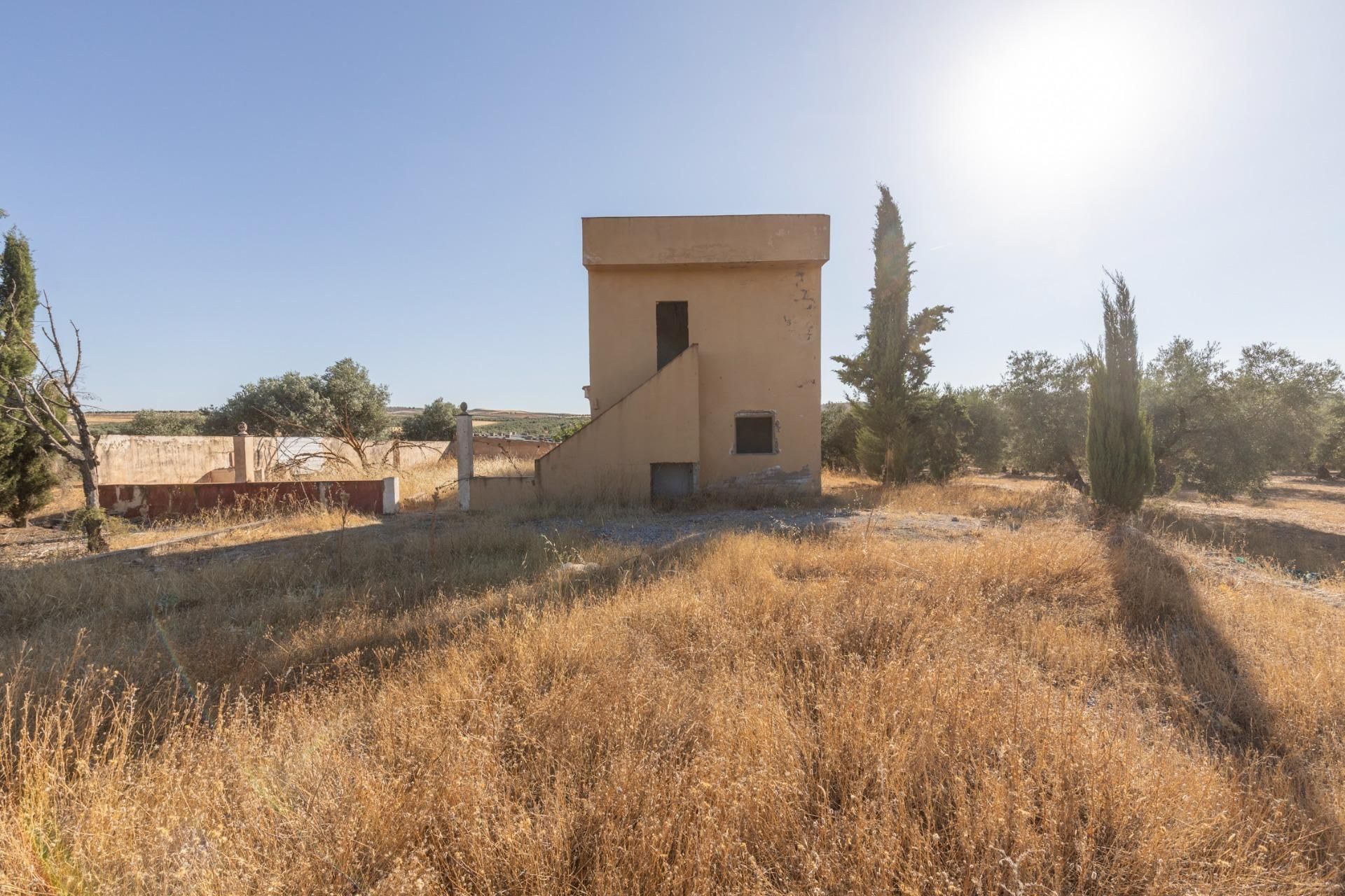 Exterior view of Country house for sale in Chimeneas
