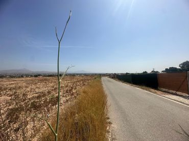Lands and plots for sale in Partidas de Alicante