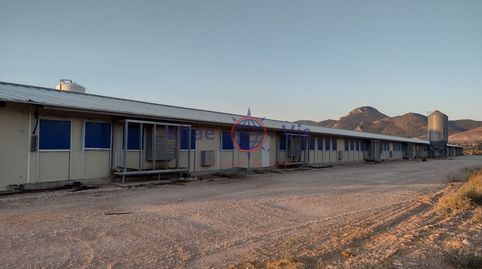 Photo 5 of Houses for sale in Travesia Mayor 04 (paca la), La Tova, Lorca