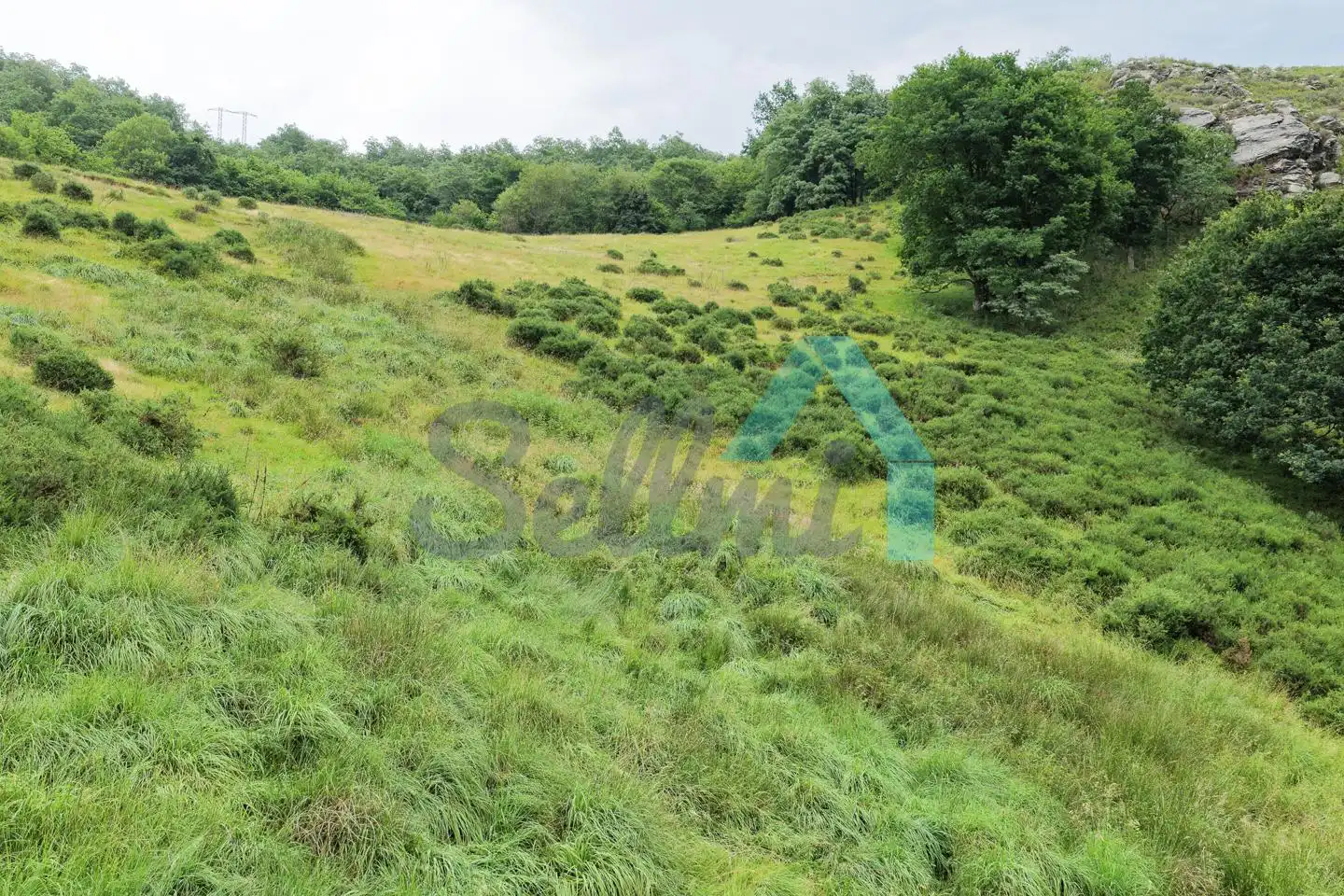 Land for sale in Proaza
