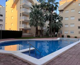 Swimming pool of Flat to rent in Daimús  with Air Conditioner, Swimming Pool and Oven