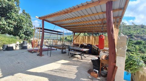Foto 5 de Casa o chalet en venta en Carcaixent, Valencia