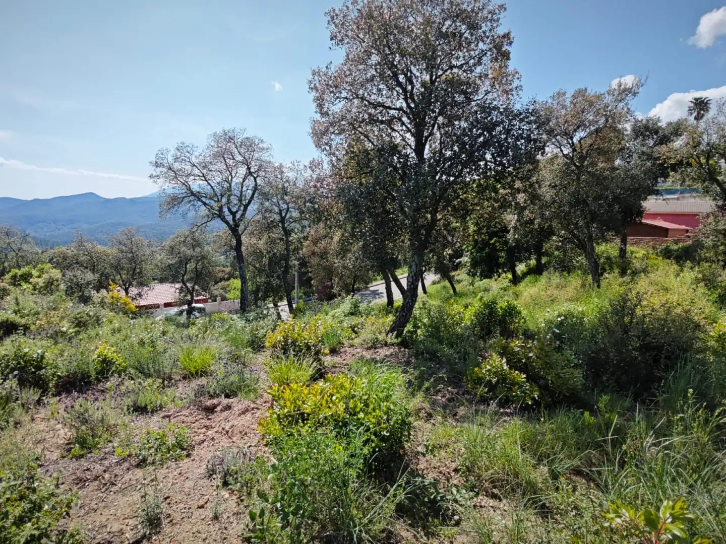 Terreno residencial en venta en Riudarenes