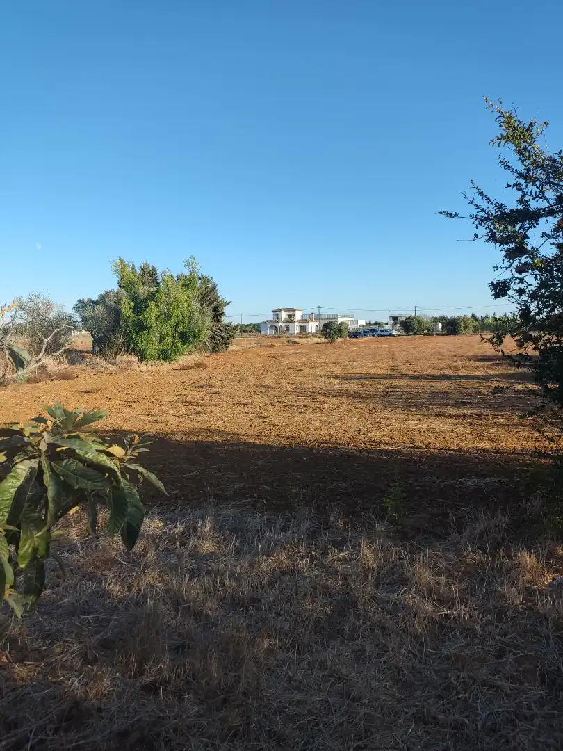 Land for sale in Conil de la Frontera