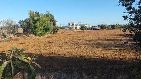Photo 2 of Land for sale in Carretera las Parcelas de Roche, Roche, Conil de la Frontera