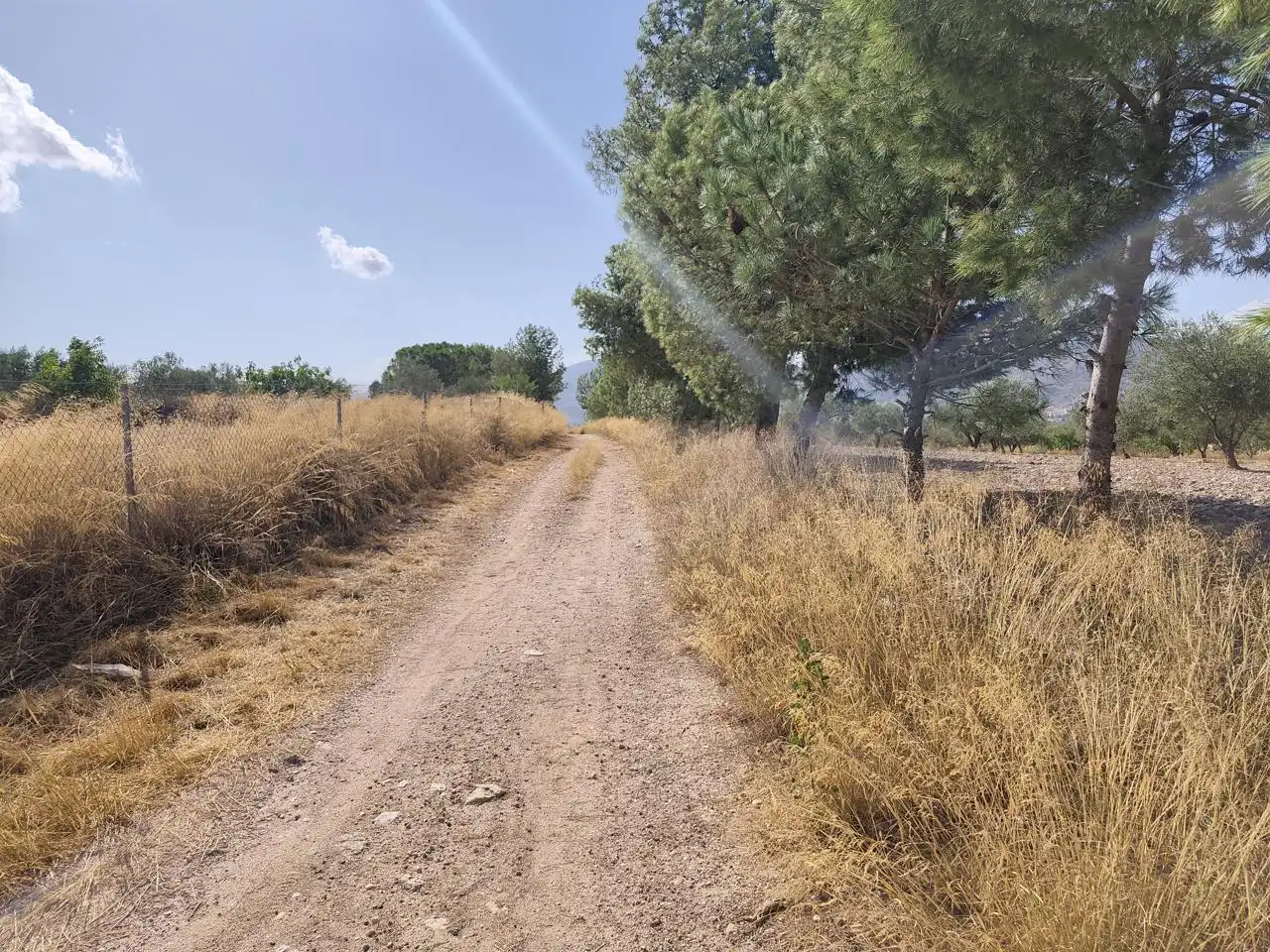 Terreno rustico in vendita a Castalla, imagen 35