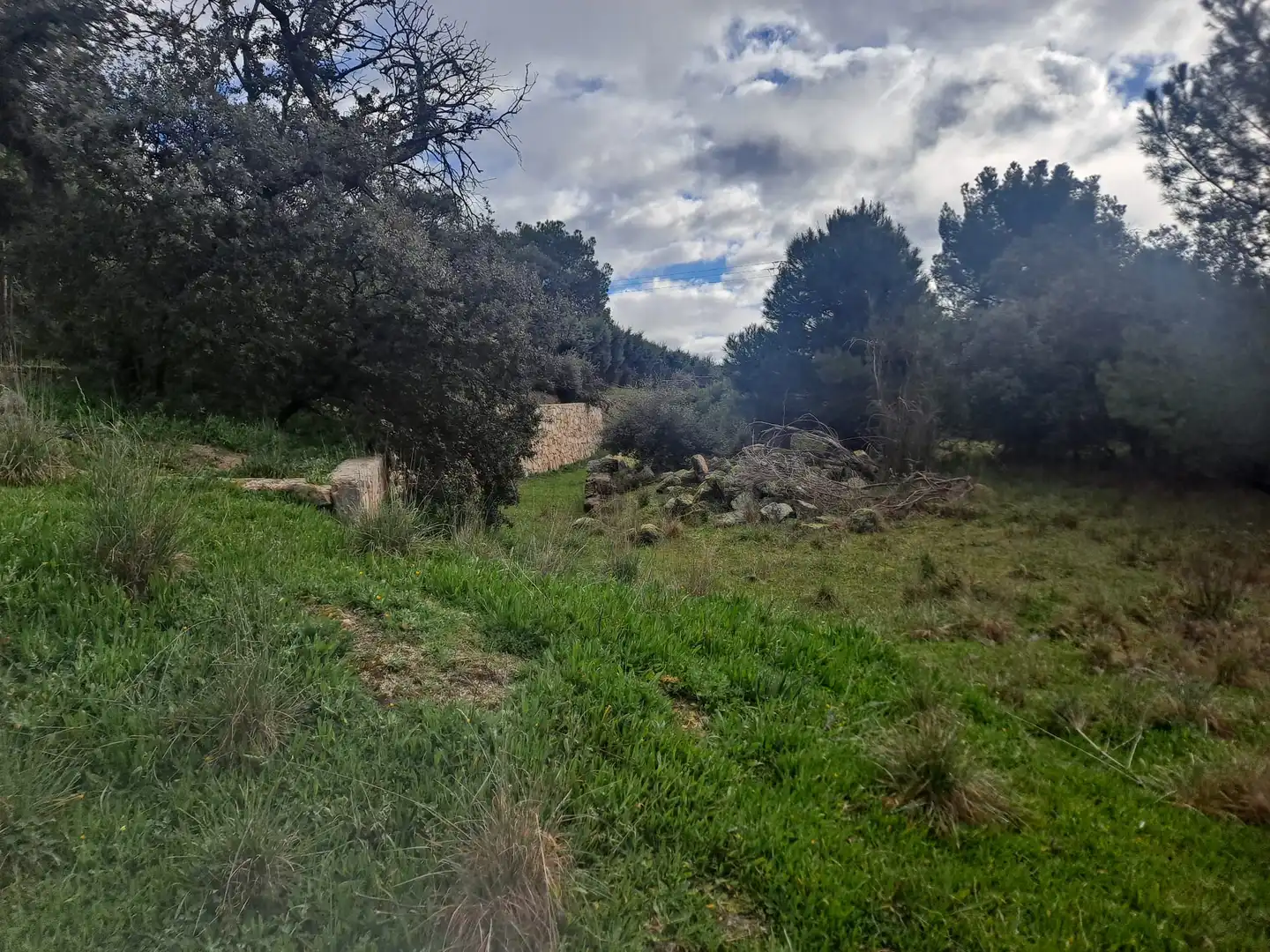 Residencial en venda en Boadilla del Monte
