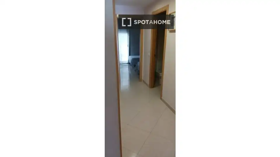 Pis de lloguer a Centre