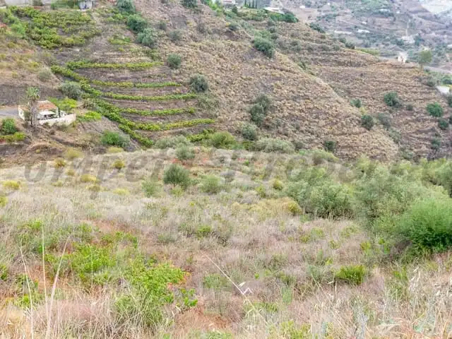 Terreni e lotti in vendita a Torrox Pueblo, imagen 5