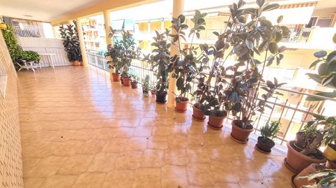Photo 2 of Apartments for sale in Guardamar Playa, Guardamar del Segura