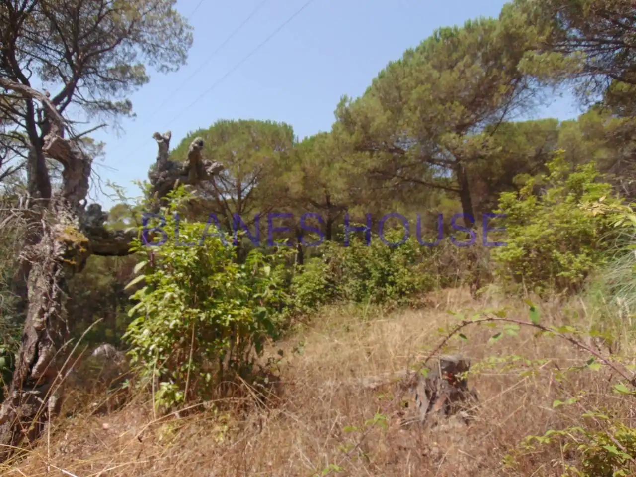 Residential land for sale in Calle PUIGMAL, imagen 4