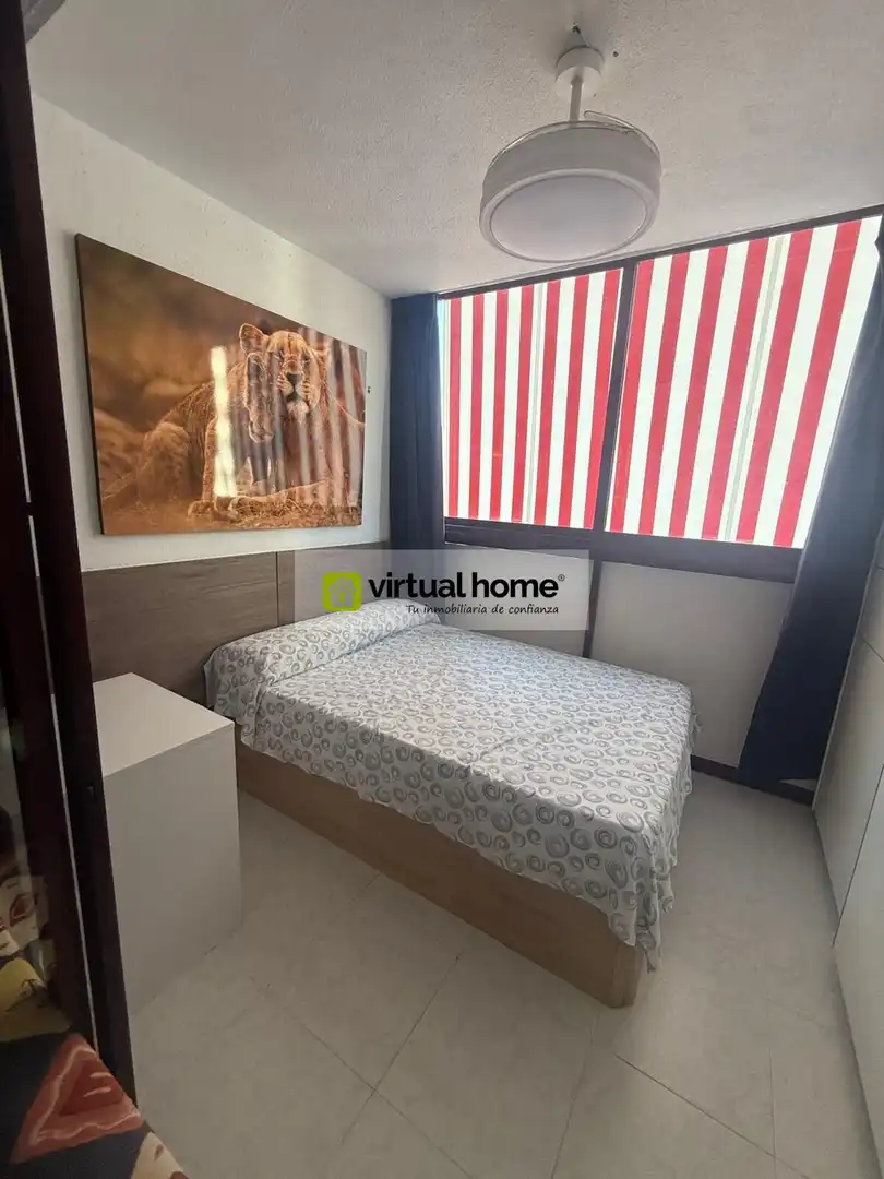 Bedroom of Flat for rent in Benidorm  with Air Conditioner, Terrace and Furnished
