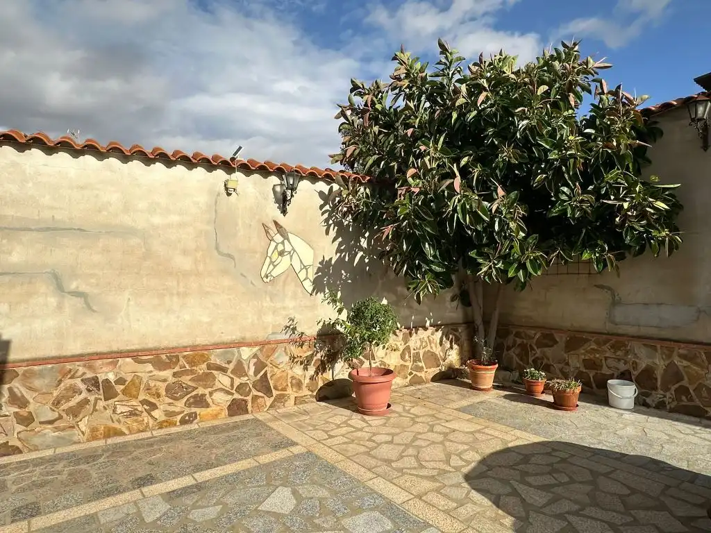 Terrassa de Casa o xalet en venda en Magacela amb Jardí privat, Terrassa i Piscina