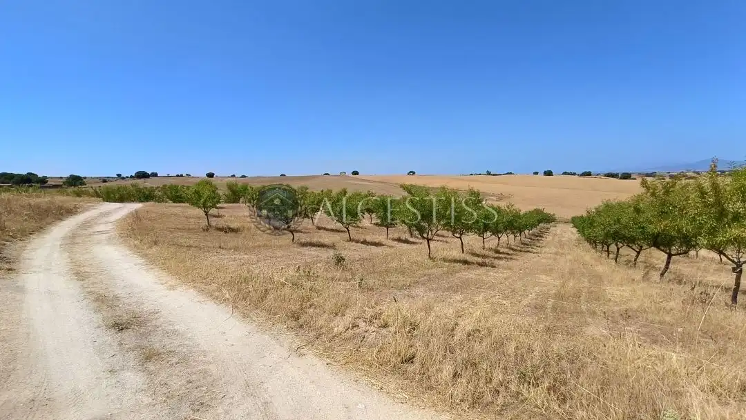 Terreni e lotti in vendita a Méntrida, imagen 16