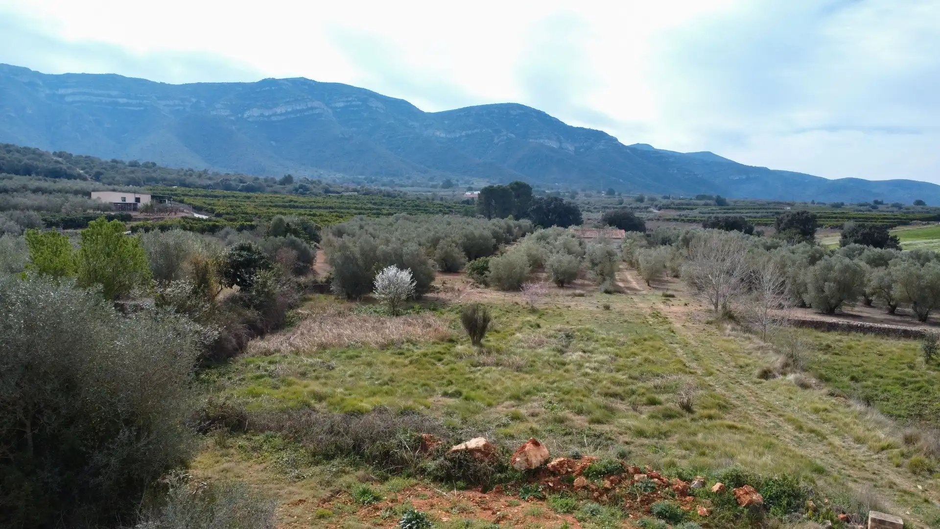 Casa o chalet en venta en Freginals con Calefacción
