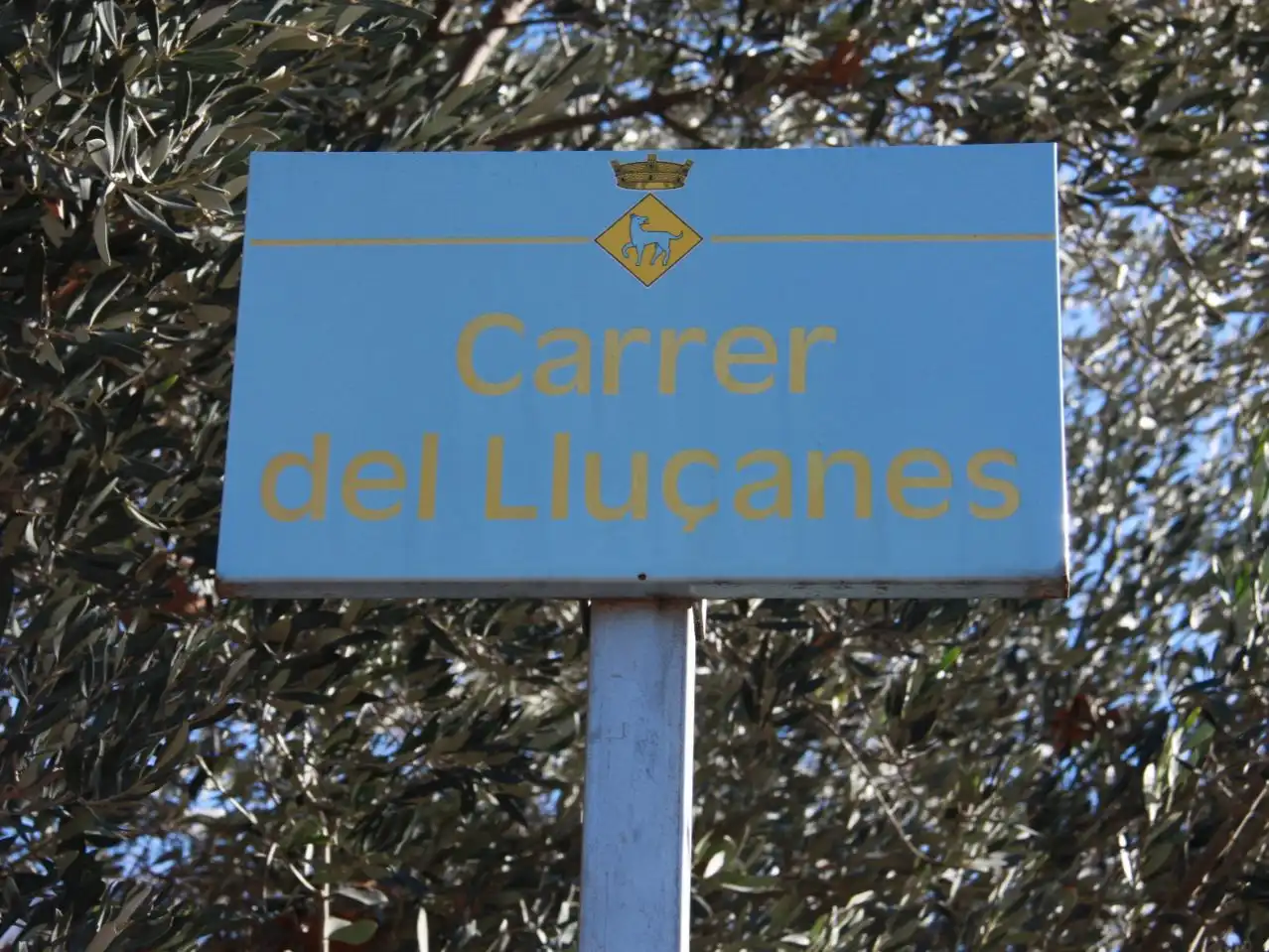 Terreny residencial en venda a Lluçanès 24, imagen 3