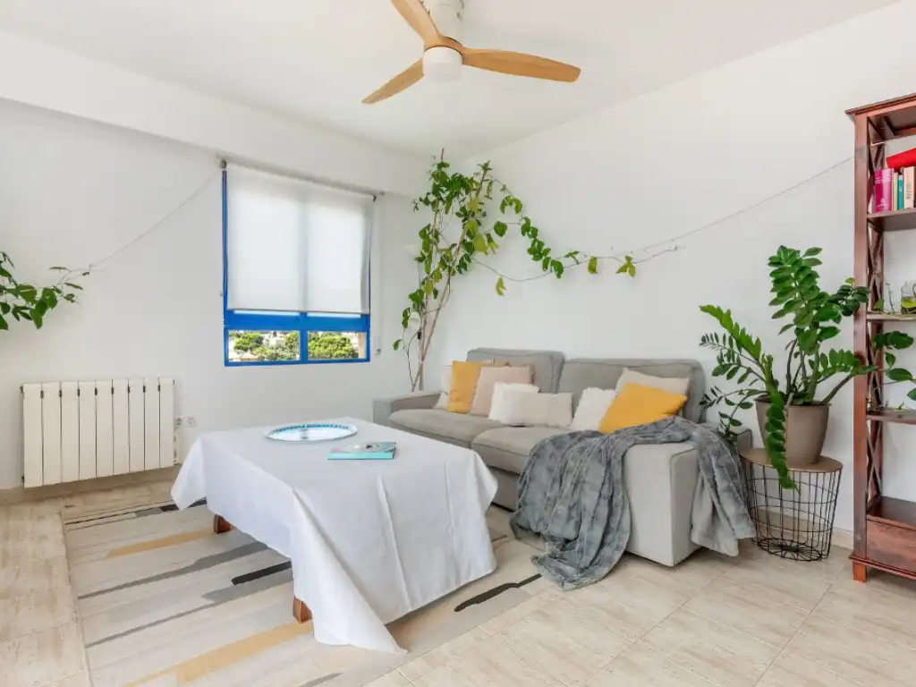 Apartamento con piscina en venta en Calle Magraner, Del, imagen 8