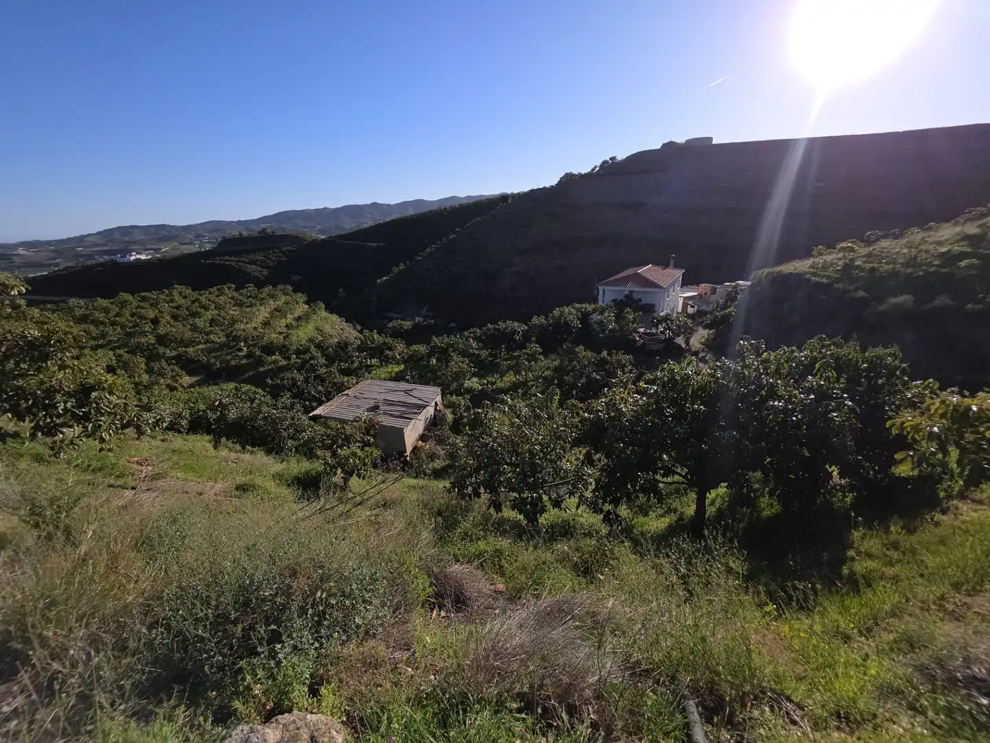Terreny rústic en venda a Diseminado Atalaya Baja, imagen 4