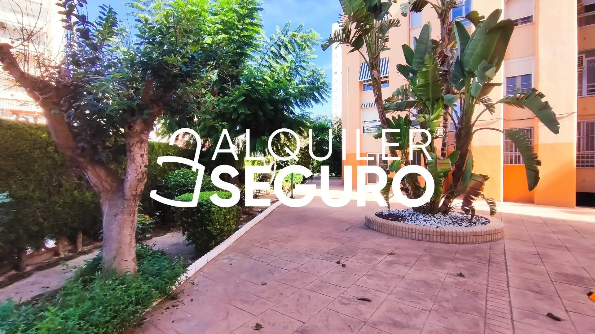 Piso con piscina en alquiler en Constitución, imagen 12