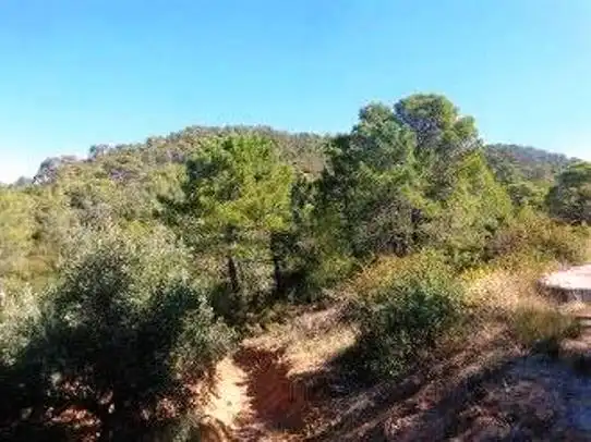 Terreni e lotti in vendita a Villanueva del Arzobispo, imagen 7
