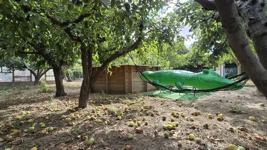 Terreny rústic en venda a Mendebaldea - Ermitagaña, imagen 5