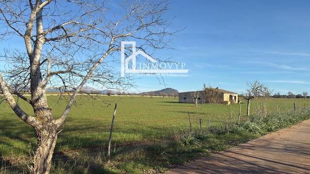 Terreno residencial en Venta en 4 en Centro